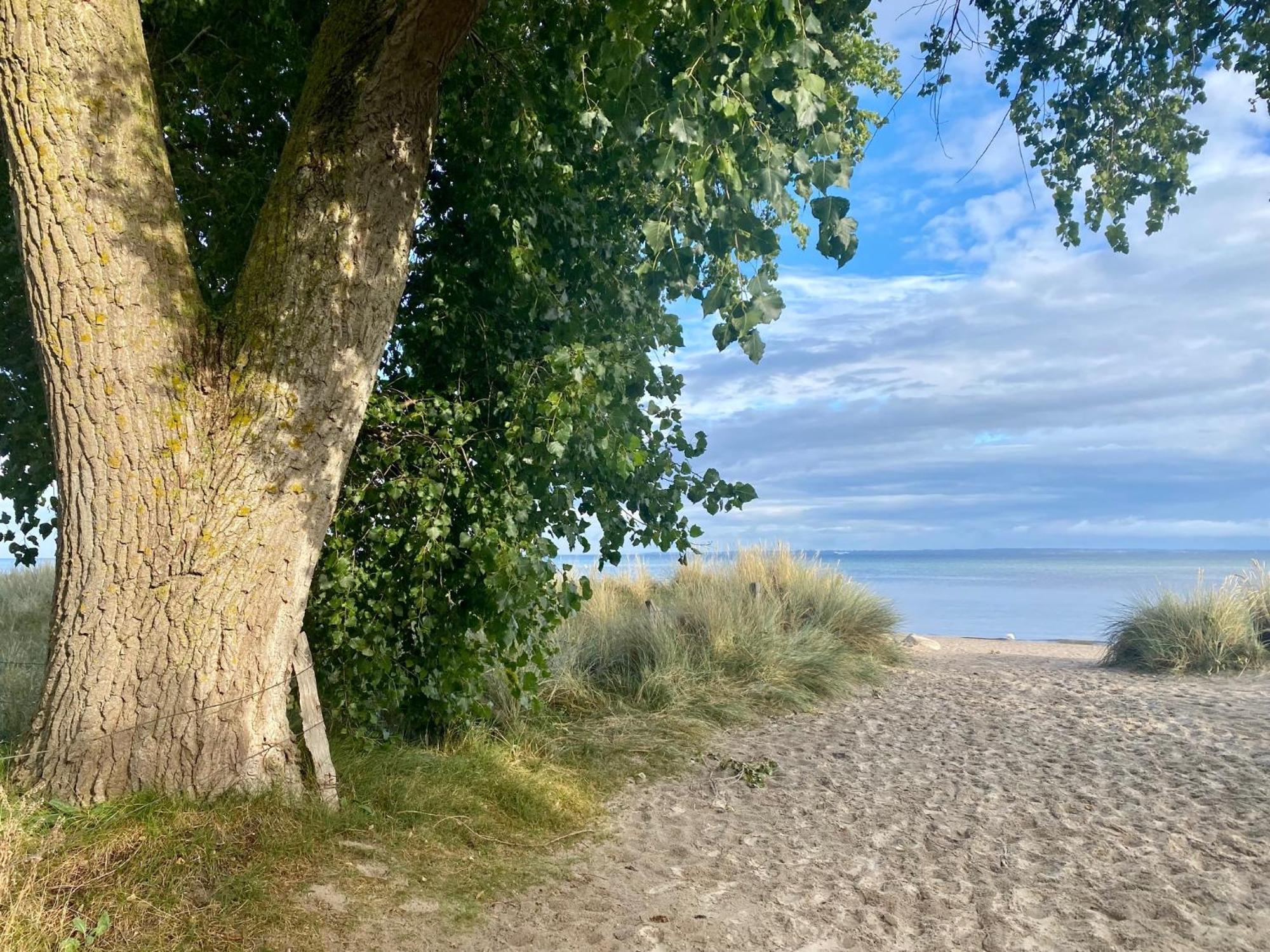 Feriendorf Suedstrand Haus 49 Пелцерхакен Екстериор снимка